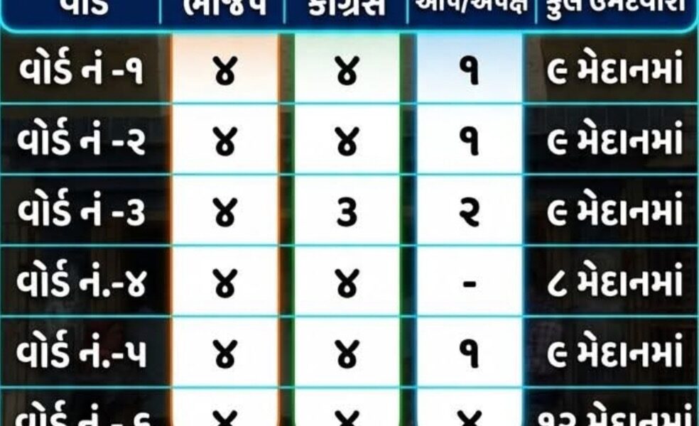 તારાપુર નગરપાલિકા ચૂંટણીનું ચિત્ર સ્પષ્ટ, ૬ વોર્ડમાં ૫૬ ઉમેદવારો વચ્ચે ખરાખરીનો જંગ