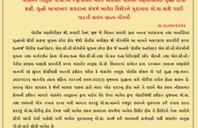 વાંકાનેર પોલીસને મોટી સફળતા : ચોરાયેલી મોટરસાયકલ સાથે કિશોર ઝડપાયો, ગુનાનો ભેદ ઉકેલાયો