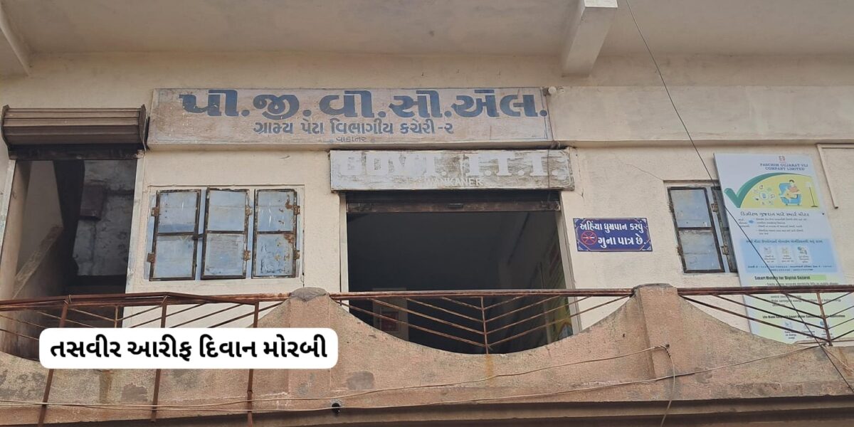 અંધકાર સામે અવિરત જંગ લડતી પીજીવીસીએલની ટીમ: ચોમાસામાં જીવના જોખમે ફરજ, ગ્રામજનોને સમયસર વીજપુરવઠો આપી જીત્યો વિશ્વાસ