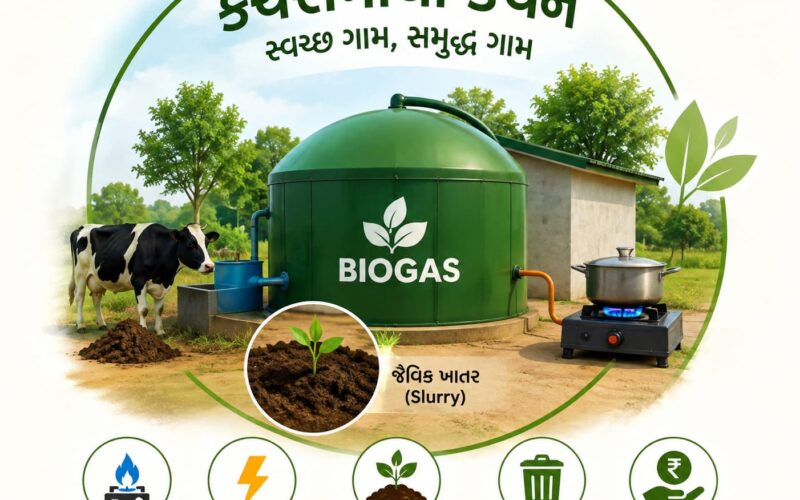 વાંકાનેર પંથકના ગ્રામ્ય વિસ્તારોમાં બાયોગેસથી ‘કચરામાંથી કંચન’ તરફની પહેલ