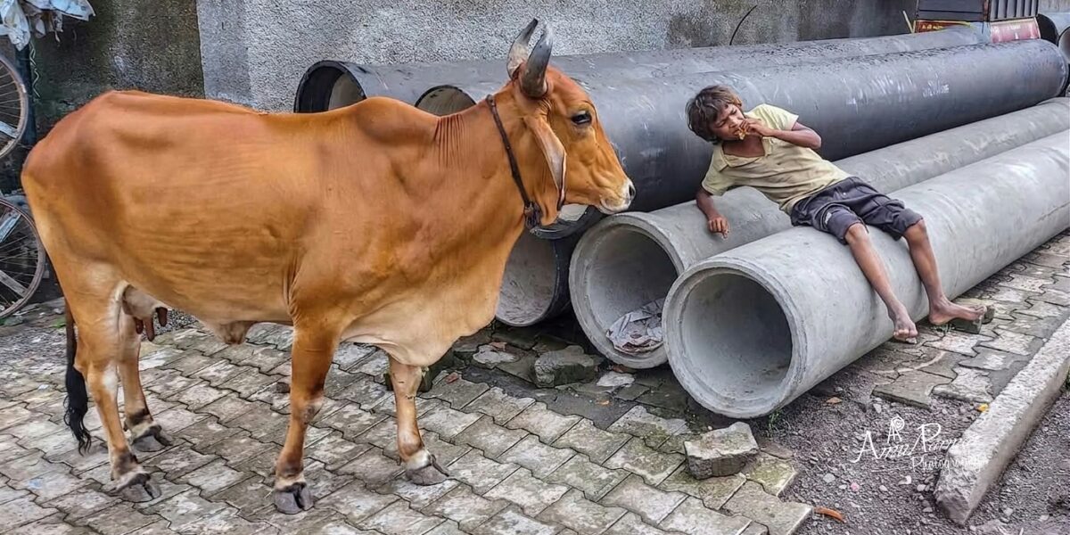 ભૂખ અને બેબસીની તસવીરે સમાજ સામે ઊભો કર્યો સવાલ