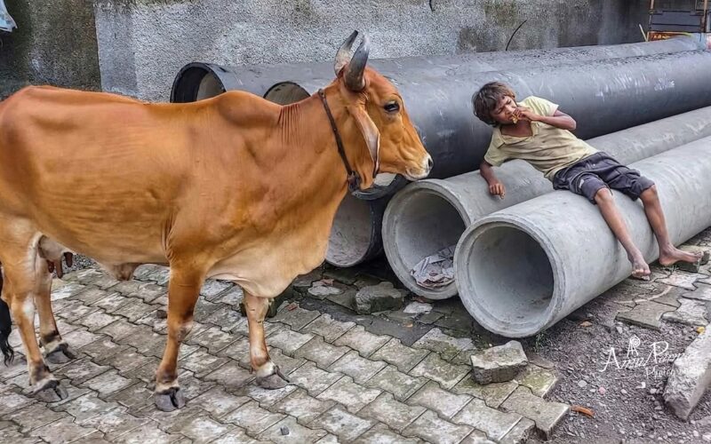 ભૂખ અને બેબસીની તસવીરે સમાજ સામે ઊભો કર્યો સવાલ