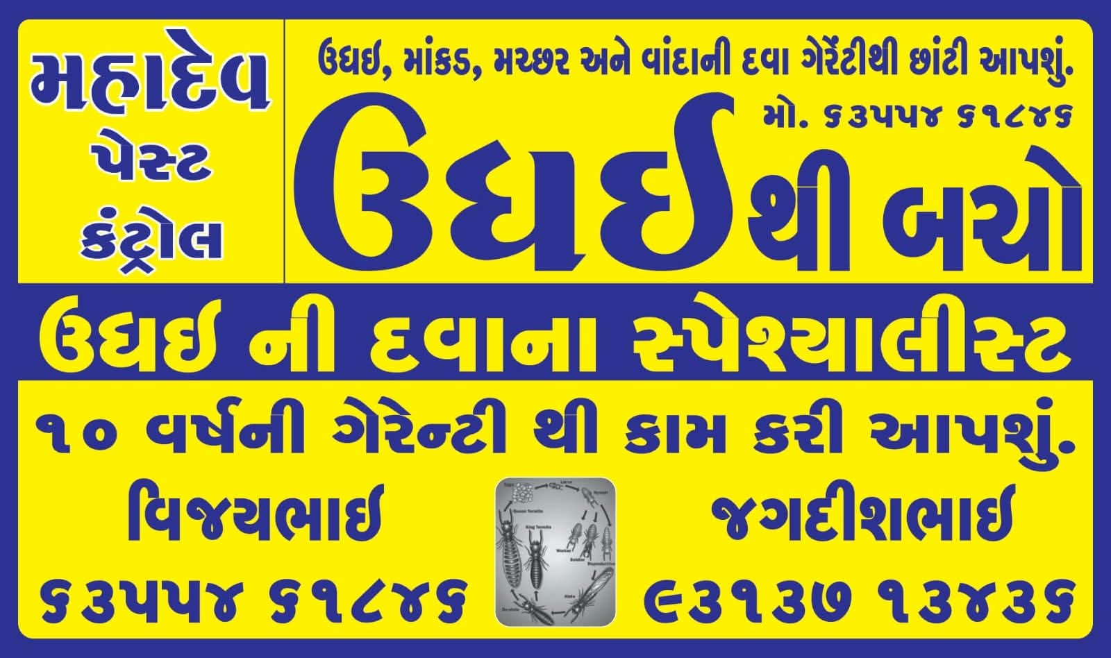Advertisement