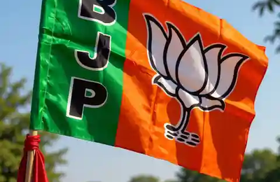 BJP Organization