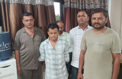 Halvad News,
