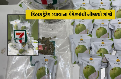 બેંગકોકથી અમદાવાદ એરપોર્ટ ઉતરેલા સુરતના મુસાફર પાસેથી 973 ગ્રામથી વધુ ગાંજો ઝડપાયો: કસ્ટમ્સ વિભાગે કરી ધરપકડ